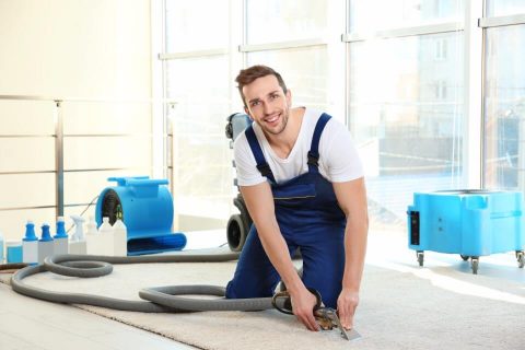 What To Expect During the Carpet Steam Cleaning Process