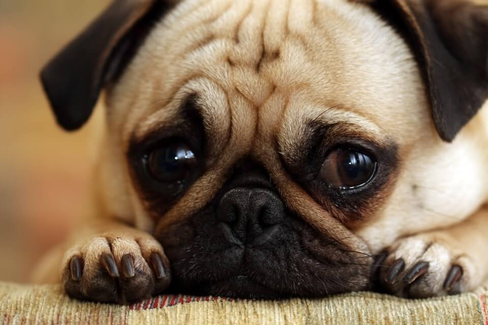 5 Reasons New Year's Resolutions Don't Work